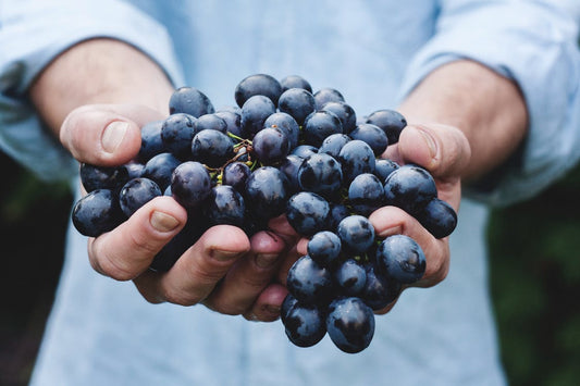 Food For Thought: Ten ways to share gratitude through food