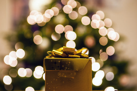 Gift with Purpose | Five Edmonton Charities to Donate to this Holiday Season