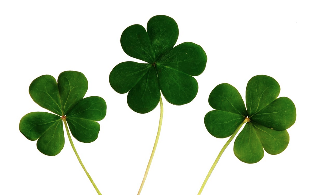 Seven Signs of Luck in your Life