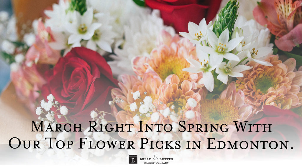 March Right Into Spring With Our Top Flower Picks in Edmonton