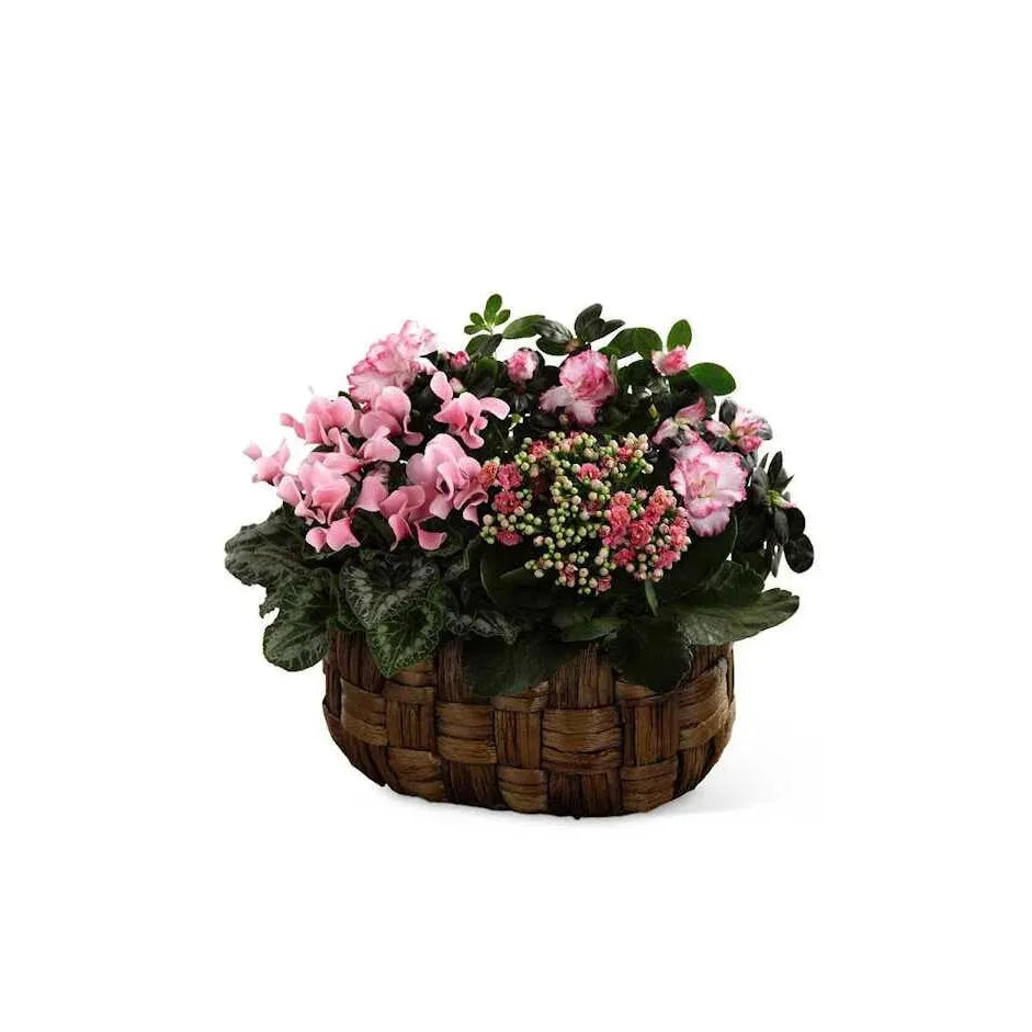Basket of Beautiful Blooms